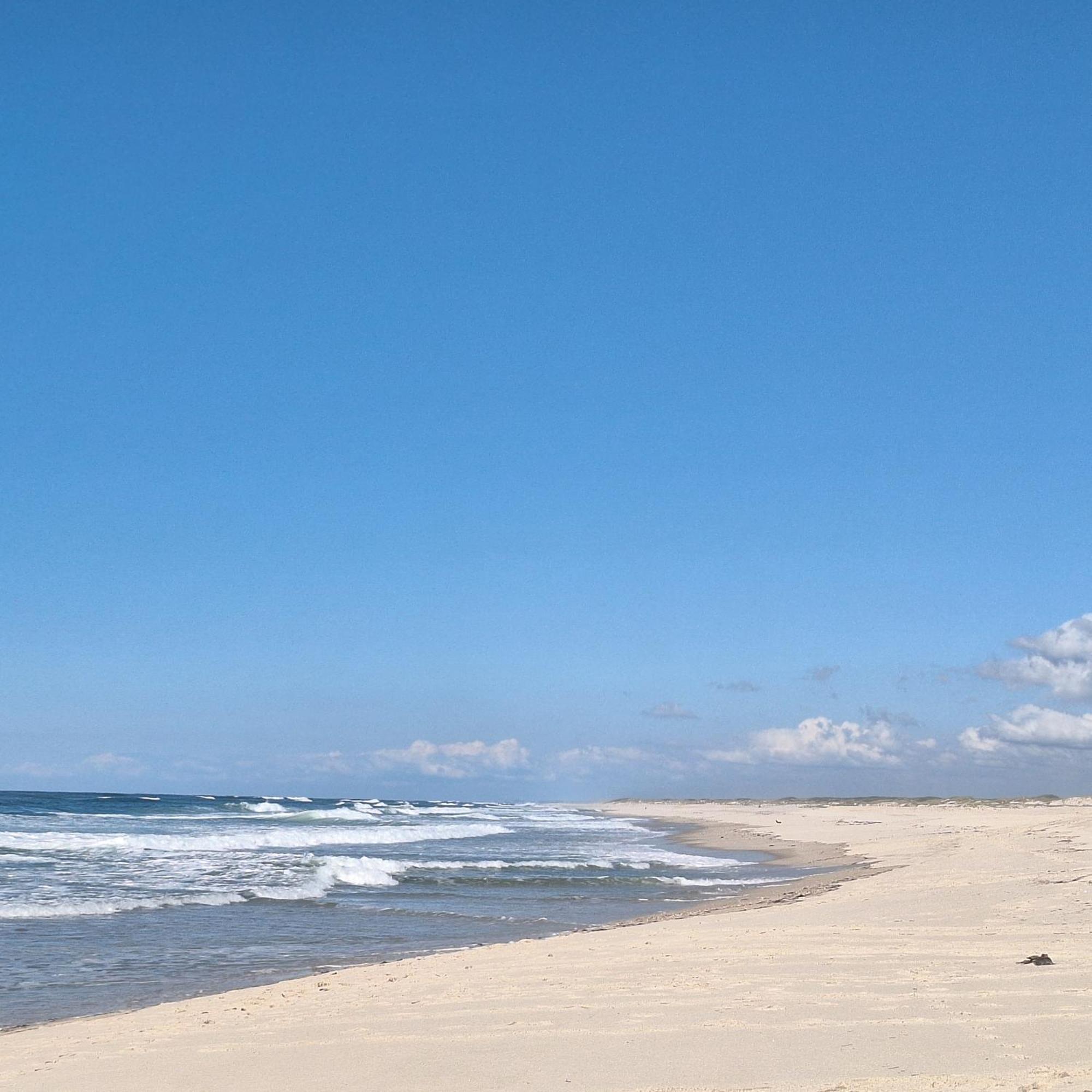 Apartment Close To The Ria De Aveiro, Sao Jacinto 외부 사진